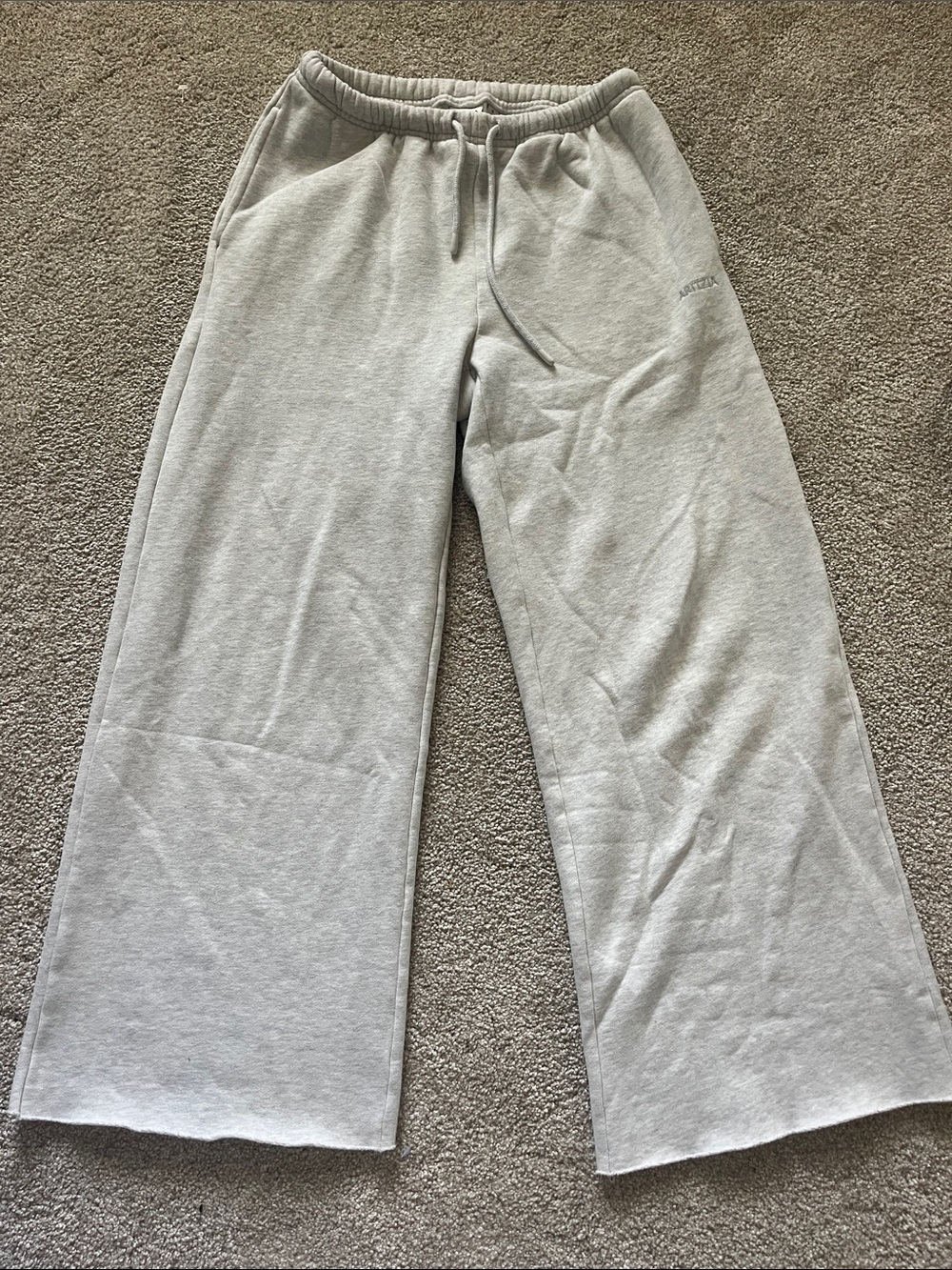 Aritzia Sweatfleece Mega Fit Joggers in Light Gray